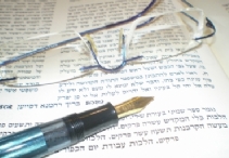 יוסי לוי עורך דין